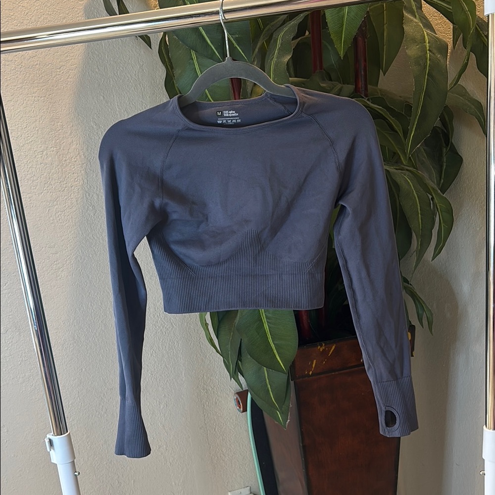 Women's Workout Long Sleeve Crop Top - Gray